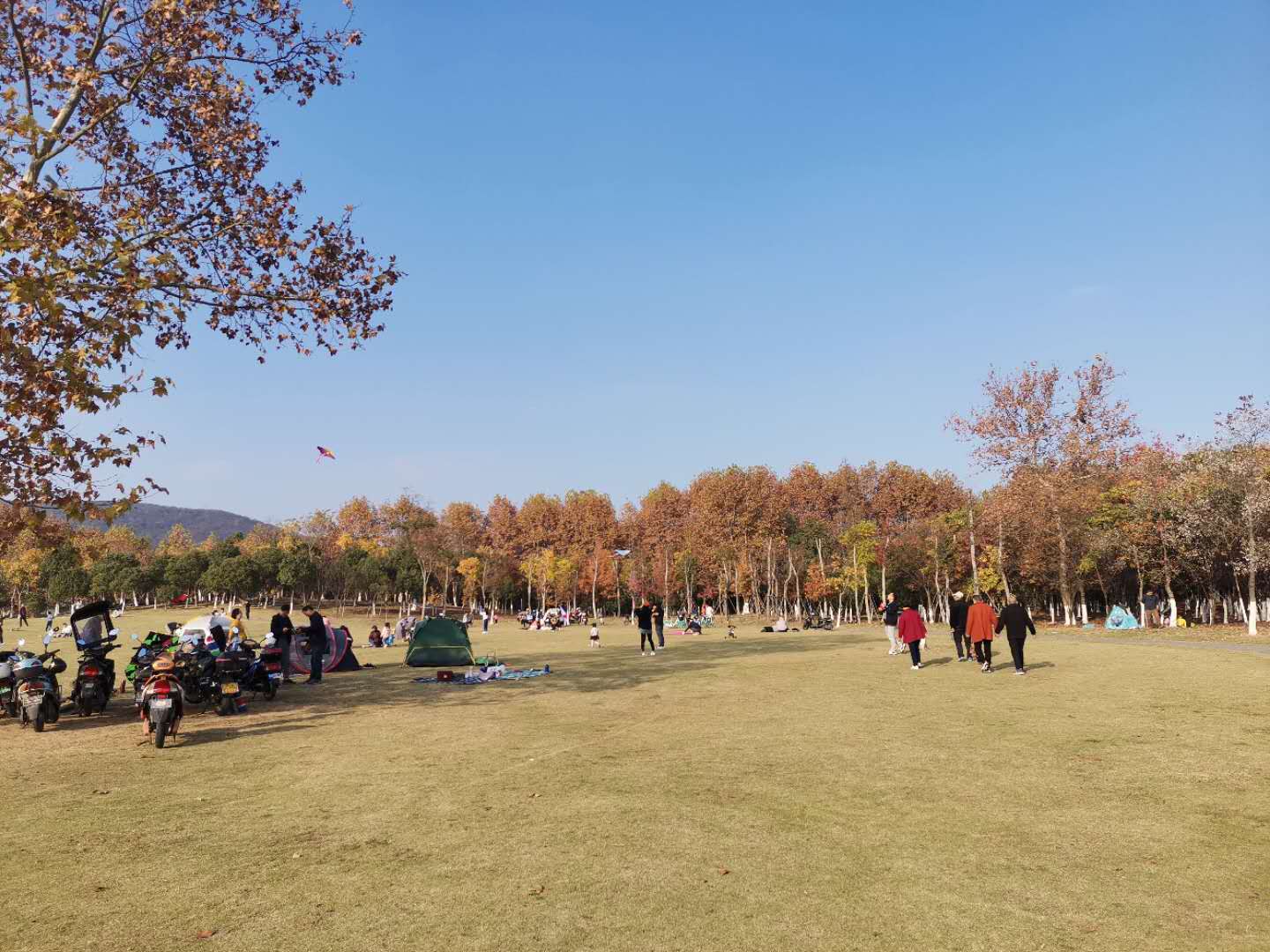 文章封面